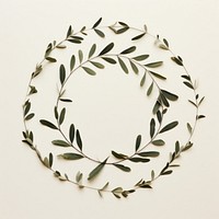PNG Real pressed olive leaves pattern circle shape. AI generated Image by rawpixel.