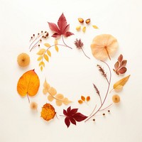 PNG Real pressed autumn leaves pattern circle flower. AI generated Image by rawpixel.