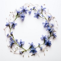  Real pressed bluebells flowers wreath petal plant. AI generated Image by rawpixel.