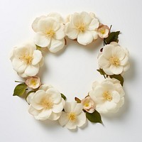 PNG Real pressed camellia flowers circle wreath petal. AI generated Image by rawpixel.