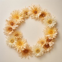 PNG Real pressed chrysanthemum flowers chrysanths circle wreath. AI generated Image by rawpixel.
