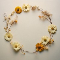 PNG Real pressed chrysanthemum flowers circle wreath shape. AI generated Image by rawpixel.