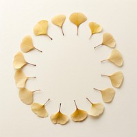 PNG Real pressed ginkgo circle flower shape. AI generated Image by rawpixel.