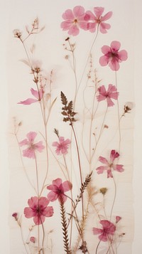 PNG Real pressed pink flowers pattern plant petal. AI generated Image by rawpixel.