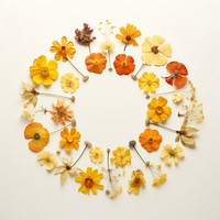 PNG Real pressed wallflowers circle wreath petal. 