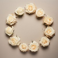 PNG Real pressed white roses flower jewelry circle. AI generated Image by rawpixel.