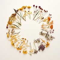 PNG Real pressed wildflowers herbs circle wreath. AI generated Image by rawpixel.