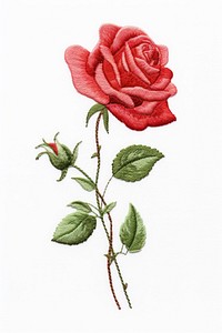 Rose embroidery pattern flower.