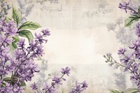 Lilac flower ephemera border lilac herbs backgrounds.