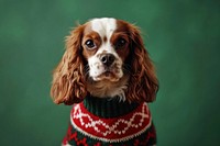  Cute dog in knitted animal mammal puppy. AI generated Image by rawpixel.