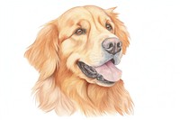Golden retriever animal mammal dog. AI generated Image by rawpixel.