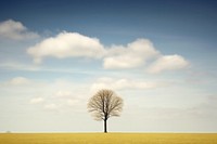Tree landscape sky outdoors. AI generated Image by rawpixel.