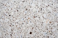  Terrazzo texture backgrounds floor white. AI generated Image by rawpixel.