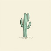 Cactus icon drawing plant green.