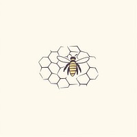 Honey bee and beehive icon animal insect shape.