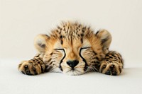 Baby cheetah wildlife sleeping animal. AI generated Image by rawpixel.