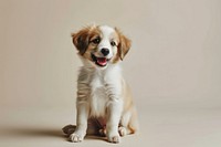Baby puppy mammal animal white. AI generated Image by rawpixel.