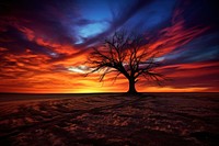 Tree sunset landscape outdoors. AI generated Image by rawpixel.