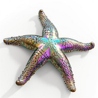Starfish iridescent animal white background invertebrate.