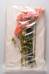 Plastic wrapping over a dried flower plant rose bag.
