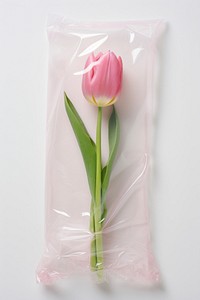 Plastic wrapping over a tulip flower plant rose.