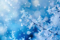 Winter abstract background backgrounds snowflake outdoors.