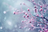 Winter dew abstract background backgrounds outdoors nature.