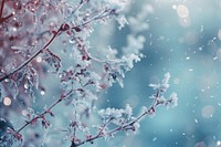 Winter dew abstract background backgrounds outdoors nature.