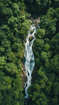 Aerial top down view of Waterfall vegetation waterfall landscape.