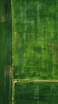 Aerial top down view of green field landscape outdoors nature.