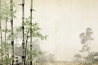 Bamboo trees border backgrounds plant architecture.