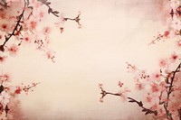 Cherry blossom flowers border backgrounds plant springtime.