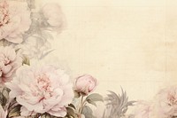 Peony flowers border backgrounds pattern plant.