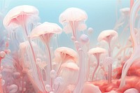 Coral jellyfish invertebrate transparent.