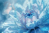 Icy flower abstract background backgrounds outdoors nature.