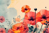 Collage Retro dreamy of flower background backgrounds poppy petal.