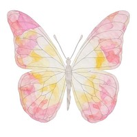 Butterfly marble distort shape animal insect petal.