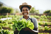 Harvesting food gardening outdoors. 