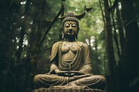 Photography of buddha statue forest representation spirituality.