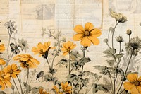 Marigold backgrounds sunflower pattern.