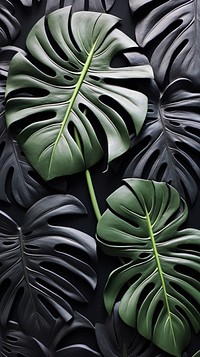 Monstera bas relief small pattern plant black leaf.