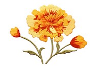 Marigold pattern flower petal.