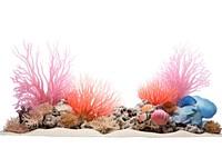 Landscape coral and sea anemone nature aquarium animal. AI generated Image by rawpixel.