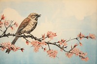 Bird painting sparrow blossom.