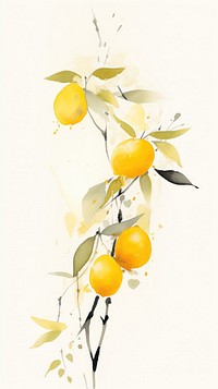 Lemon chinese brush plant fruit food.