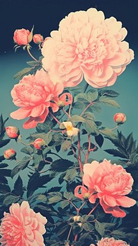  Flower plant petal rose. AI generated Image by rawpixel.