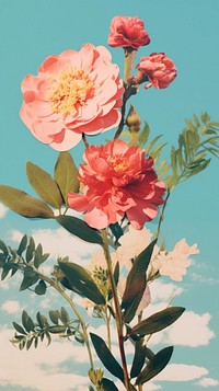  Flower outdoors blossom plant. AI generated Image by rawpixel.