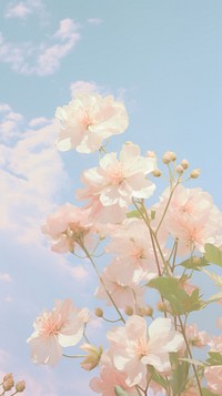  Flower sky outdoors blossom. AI generated Image by rawpixel.