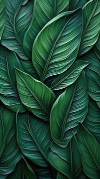 Green leaf bas relief pattern plant art backgrounds.