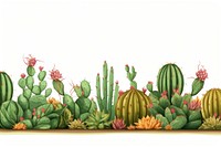 Cactus plant white background floristry.